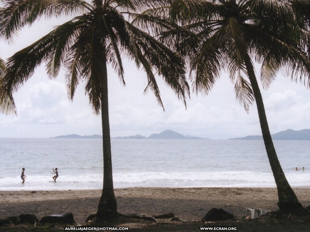 fonds d cran Asie du Sud-Ouest - Au dtour des plages des Maldives et des Antilles - de Aurelia Jaeger