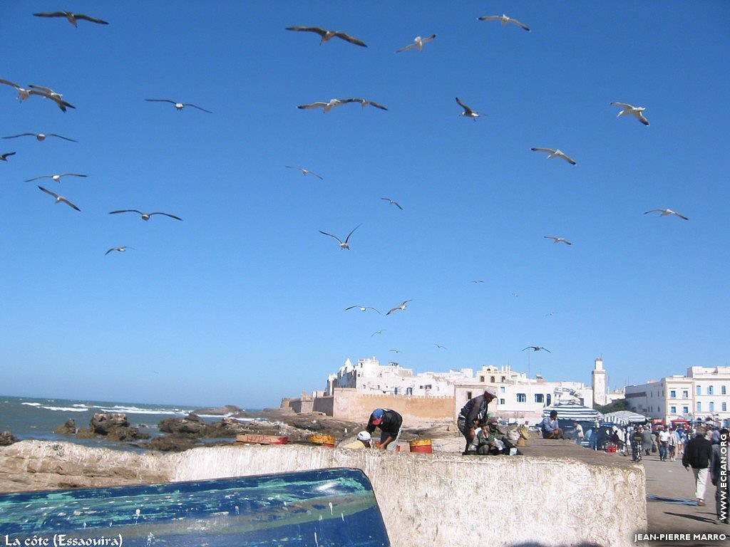 fonds d cran Afrique du Nord - Maroc - Essaouira - Photos de Jean-Pierre Marro - de Jean-Pierre Marro