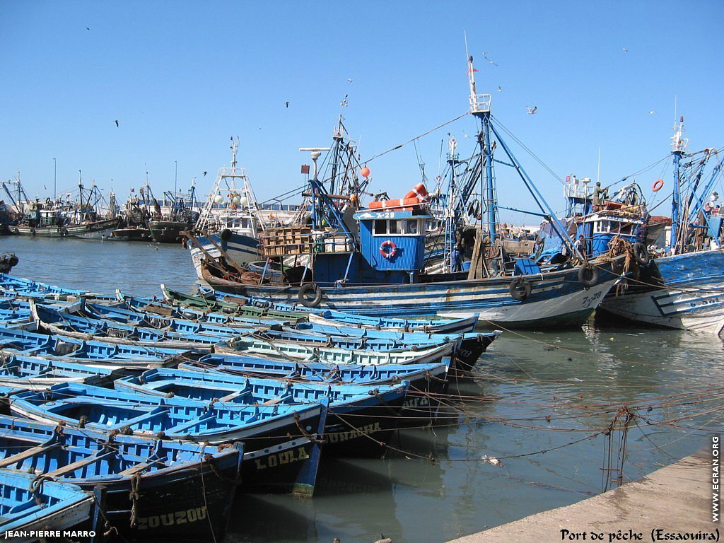 fonds d cran Afrique du Nord - Maroc - Essaouira - Photos de Jean-Pierre Marro - de Jean-Pierre Marro