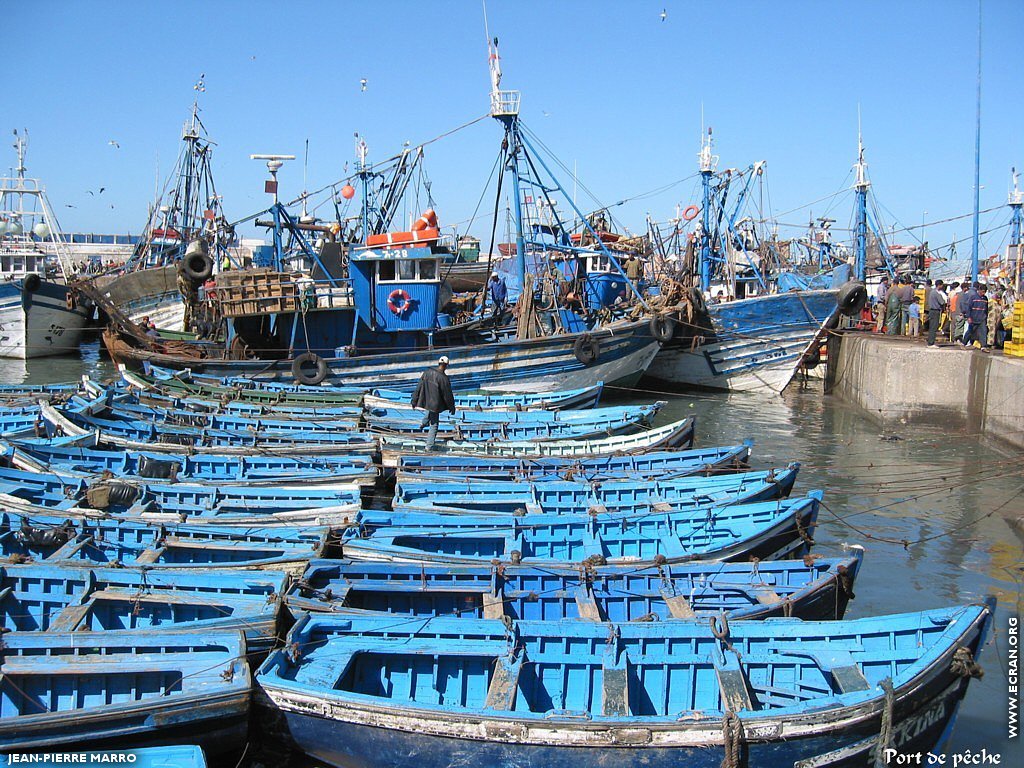 fonds d cran Afrique du Nord - Maroc - Essaouira - Photos de Jean-Pierre Marro - de Jean-Pierre Marro