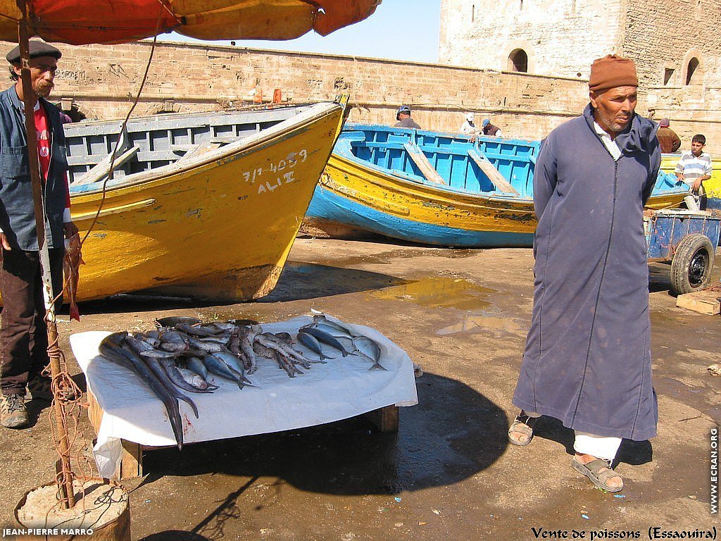 fonds d cran Afrique du Nord - Maroc - Essaouira - Photos de Jean-Pierre Marro - de Jean-Pierre Marro