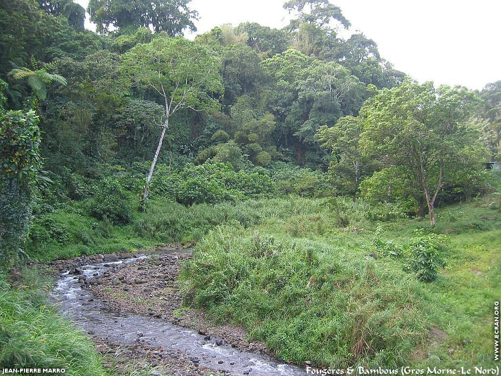 fonds d cran Antilles - Martinique - paysages - Photos de Jean-Pierre Marro - de Jean-Pierre Marro