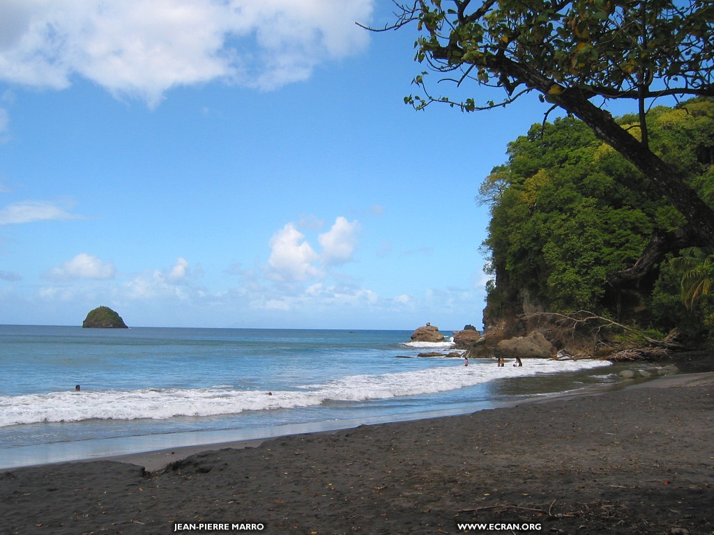 fonds d cran martinique-antilles - de Jean-Pierre Marro