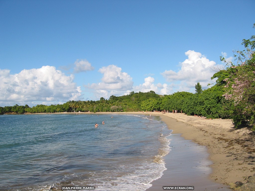 fonds d cran martinique-antilles - de Jean-Pierre Marro