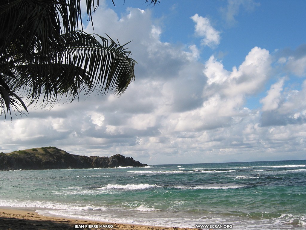 fonds d cran martinique-antilles - de Jean-Pierre Marro