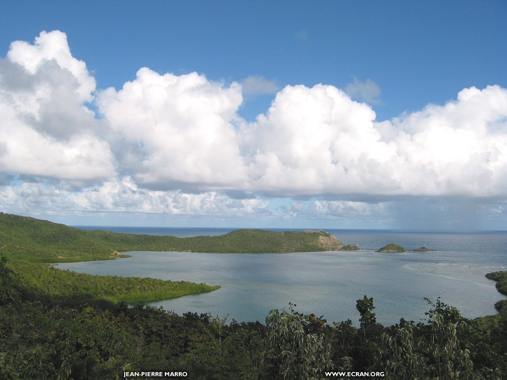 fonds d cran martinique-antilles - de Jean-Pierre Marro