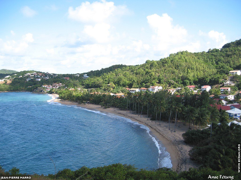 fonds d cran Antilles - Martinique - Anses - Photos de Jean-Pierre Marro - de Jean-Pierre Marro