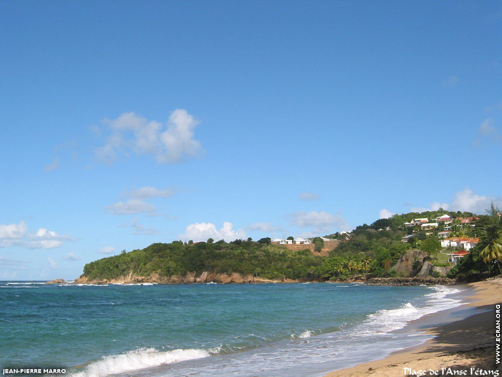 fonds d cran Antilles - Martinique - Anses - Photos de Jean-Pierre Marro - de Jean-Pierre Marro