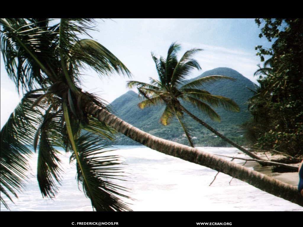 fonds d cran La Martinique en fonds d'cran par Frederick, vues du rocher du diamant, les Antilles en fond d'ecran - de Frederick