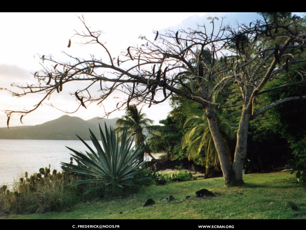 fonds d cran La Martinique en fonds d'cran par Frederick, vues du rocher du diamant, les Antilles en fond d'ecran - de Frederick