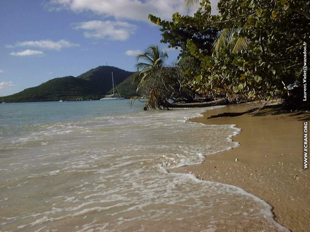 fonds d cran Martinique - de Laurent Vielet
