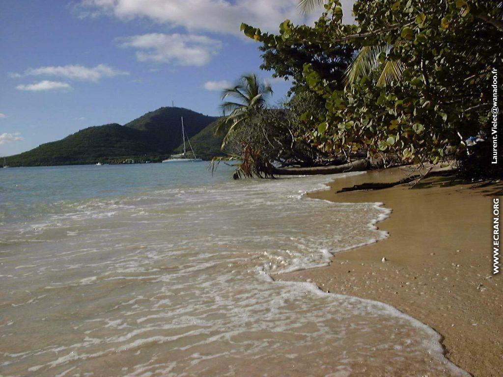 fonds d cran Martinique - de Laurent Vielet