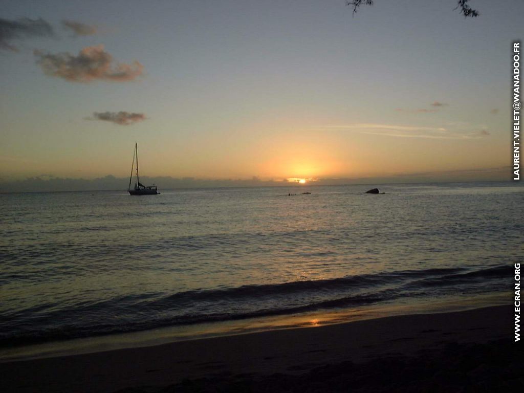 fonds d cran Martinique - de Laurent Vielet