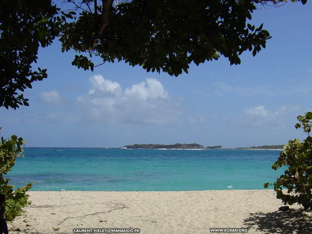 fonds d cran Martinique - de Laurent Vielet