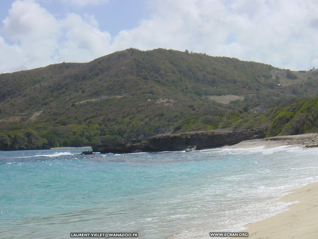 fonds d cran Martinique - de Laurent Vielet