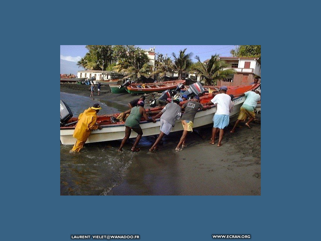 fonds d cran Martinique - de Laurent Vielet