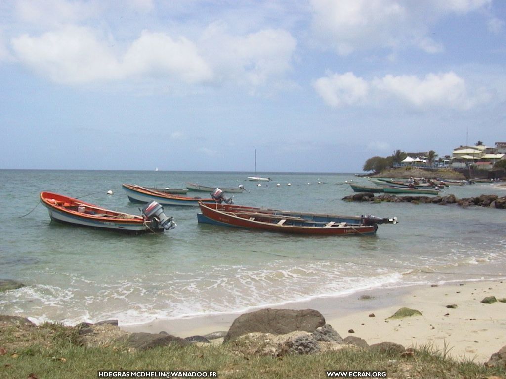 fonds d cran Martinique - de Marie christine Delhin