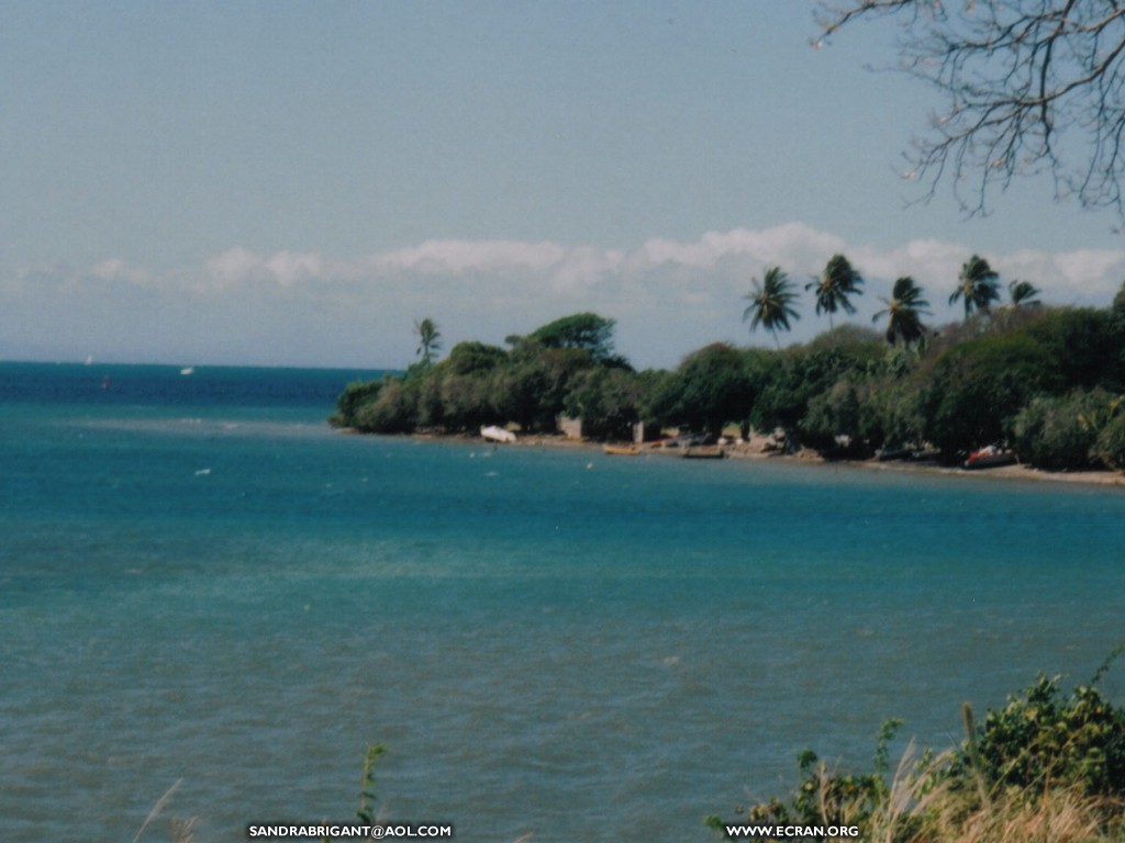 fonds d cran La martinique - les antilles - ste Luce - fleur & sable noir - de Sandra Brigant