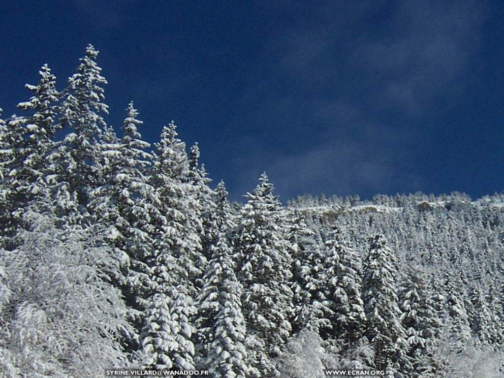 fonds d cran montagne-neige-vercors-villard-de-lans - de Syrine De Villard