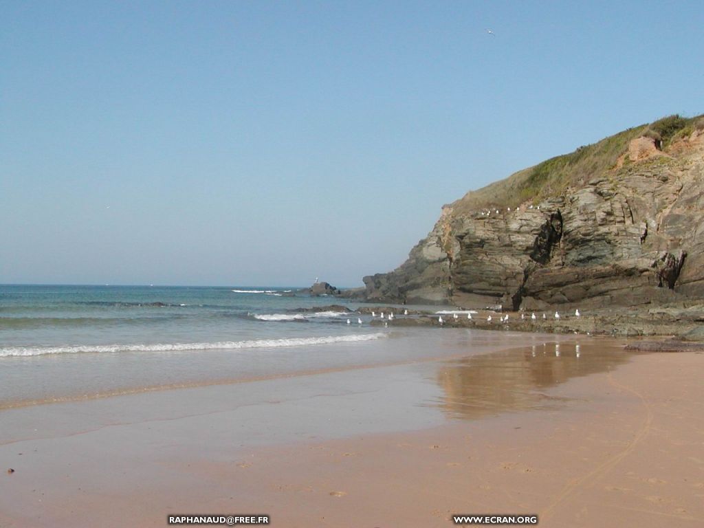 fonds d cran Manche - plages du Pou et du Rozel - Surtainville - Cote ouest de la manche  en t - France - de Jean Baptiste Raphanaud