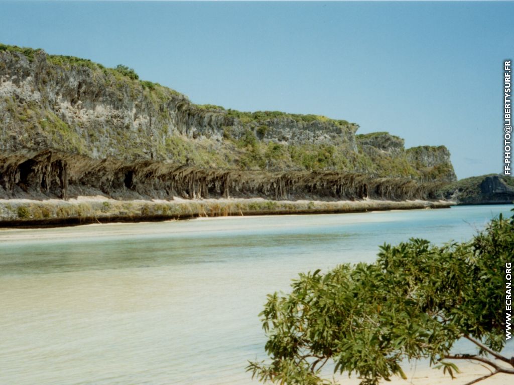 fonds d cran Nouvelle Caldonie - des Pins - de Fabrice Friedberg