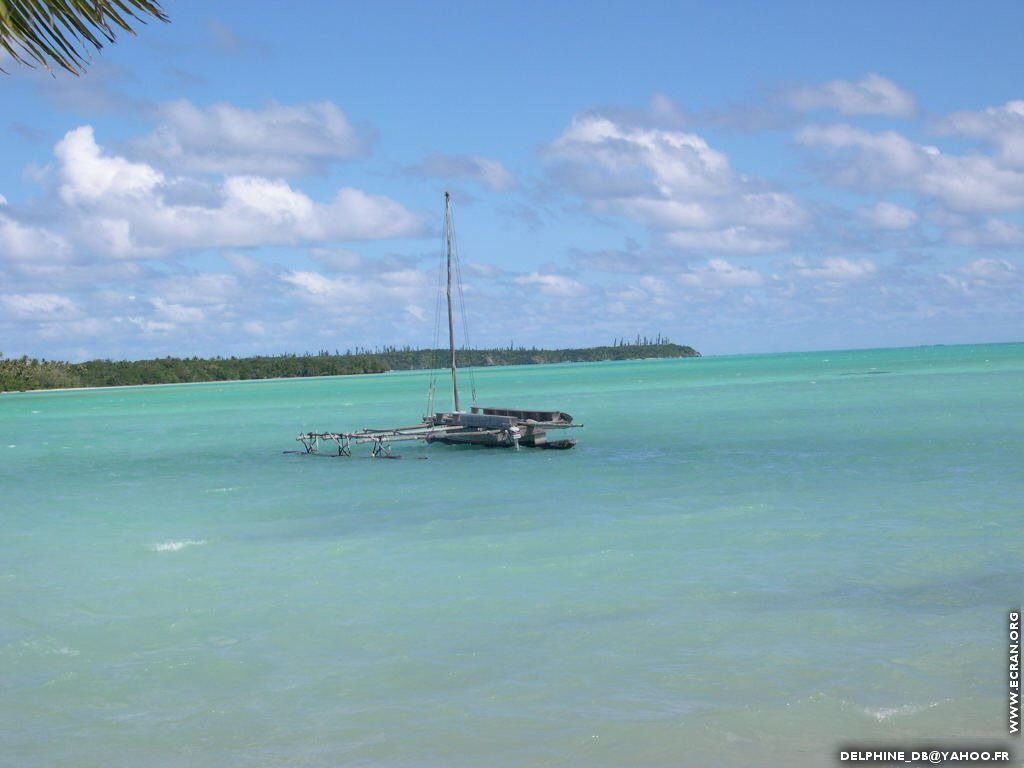 fonds d cran Oceanie - Nouvelle Caledonie - Kaledonie - Outre Mer - Caldonie - de Delphine db