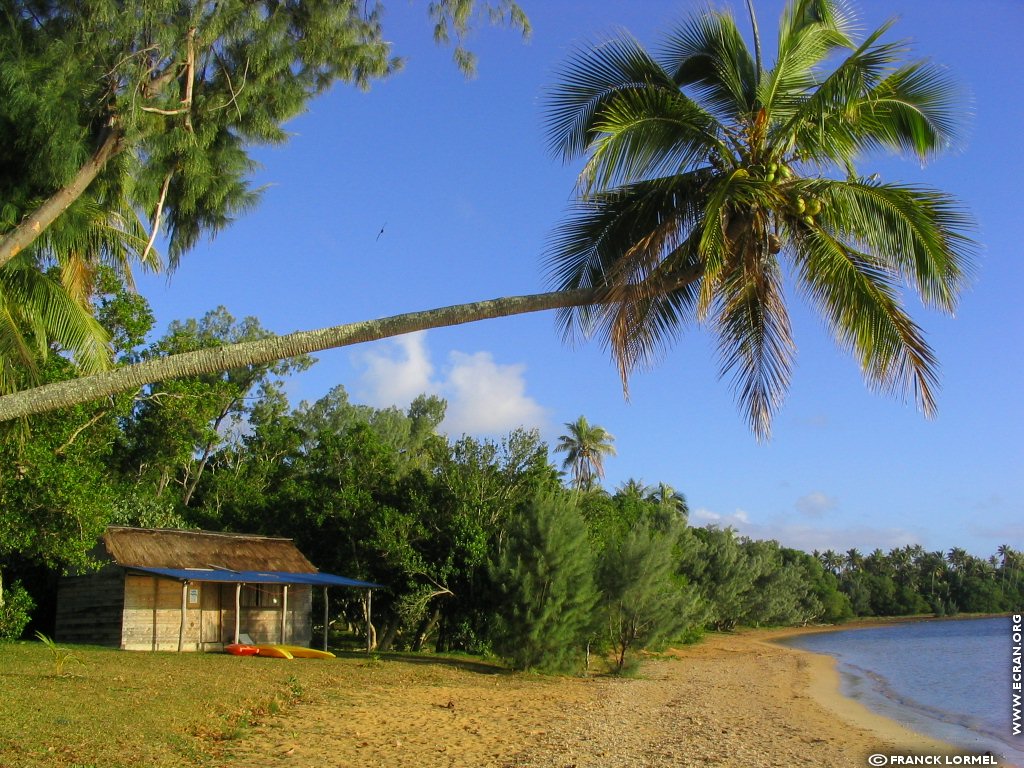 fonds d cran Oceanie - Nouvelle Caledonie - de Franck Lormel