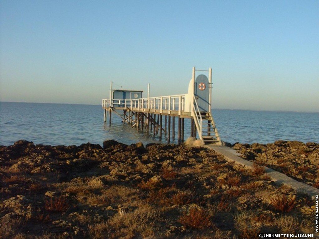 fonds d cran Ouest - Charente - le littoral charentais, les carrelets, la mer  mare basse - de Henriette Joussaume