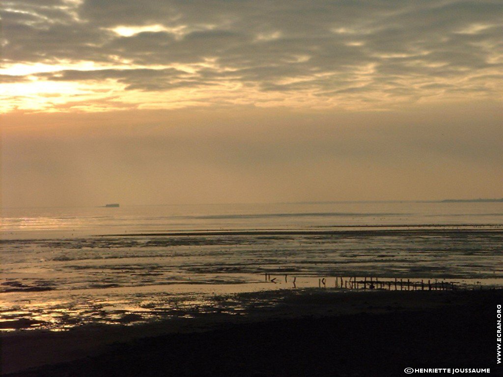 fonds d cran Ouest - Charente - le littoral charentais, Soubise, Angoulins .. - de Henriette Joussaume