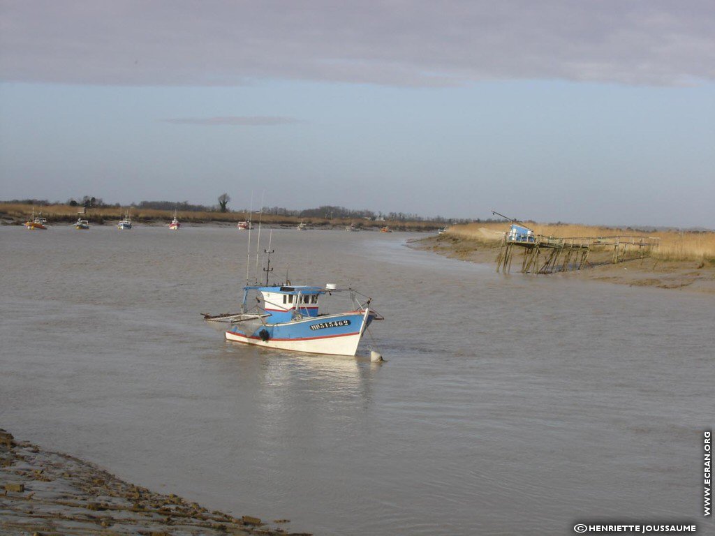 fonds d cran Ouest - Charente - le littoral charentais, Soubise, Angoulins .. - de Henriette Joussaume