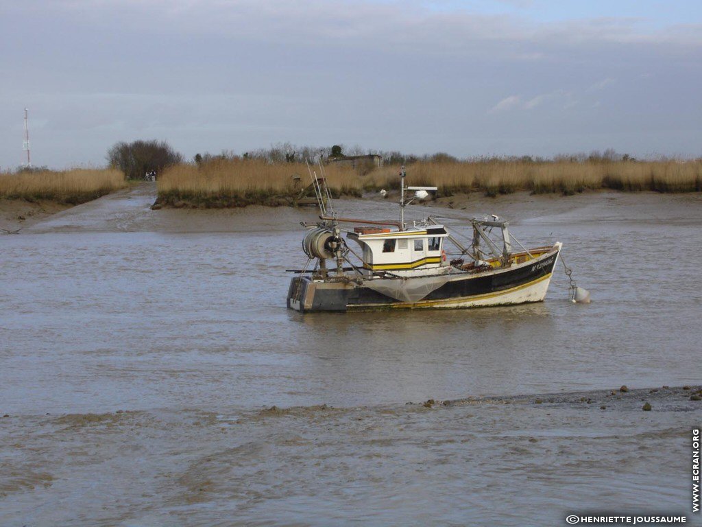 fonds d cran Ouest - Charente - le littoral charentais, Soubise, Angoulins .. - de Henriette Joussaume