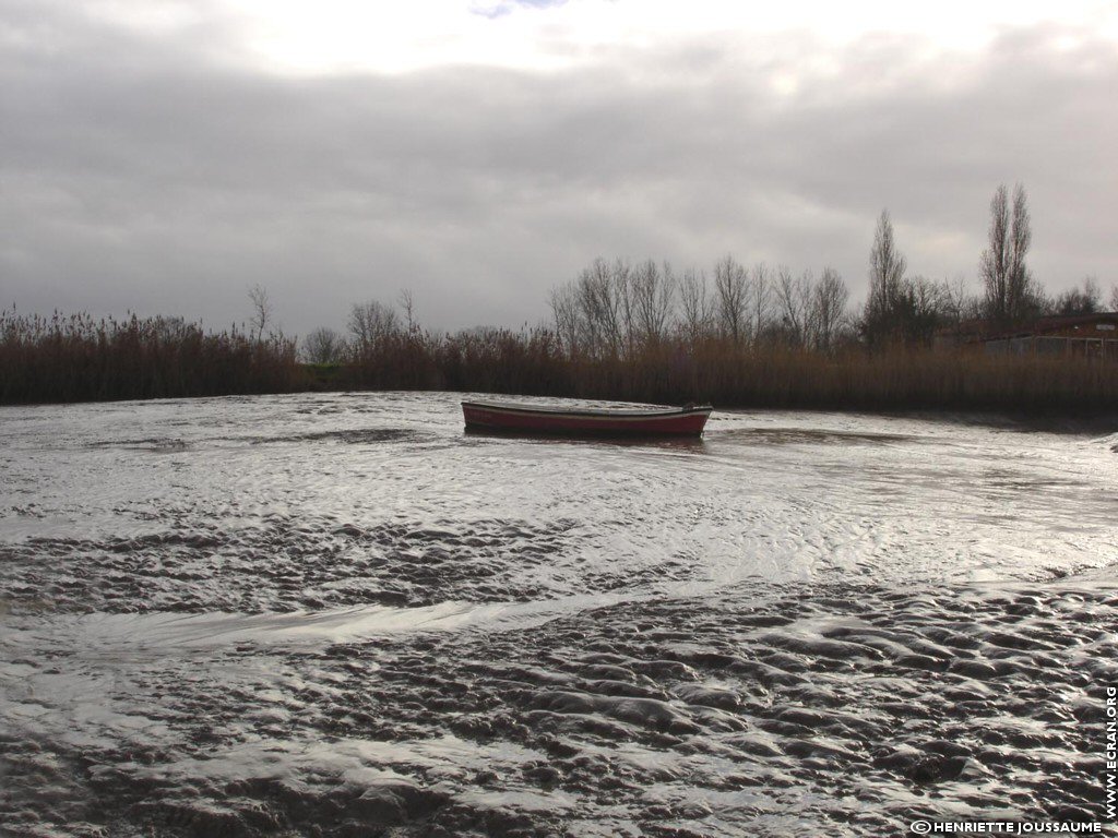 fonds d cran Ouest - Charente - le littoral charentais, Soubise, Angoulins .. - de Henriette Joussaume