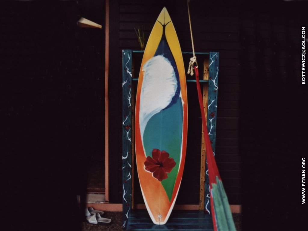 fonds d cran Franck - Peintre & surfeur - surf & peinture - peintre de l'Ocan - fond ecran iod - de Franck