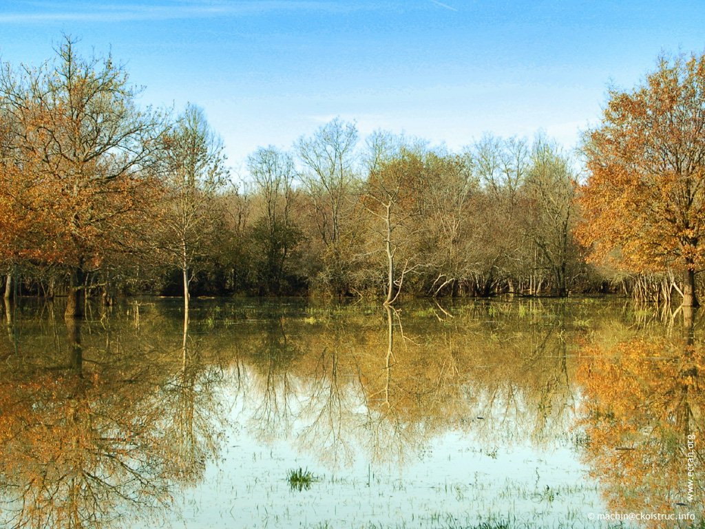 fonds d cran Deux-Sevres Poitou Charentes - de Darry