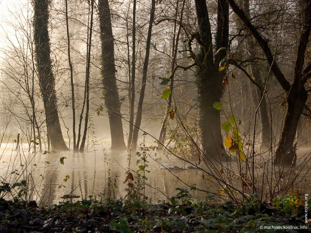 fonds d cran Deux-Sevres Poitou Charentes - de Darry