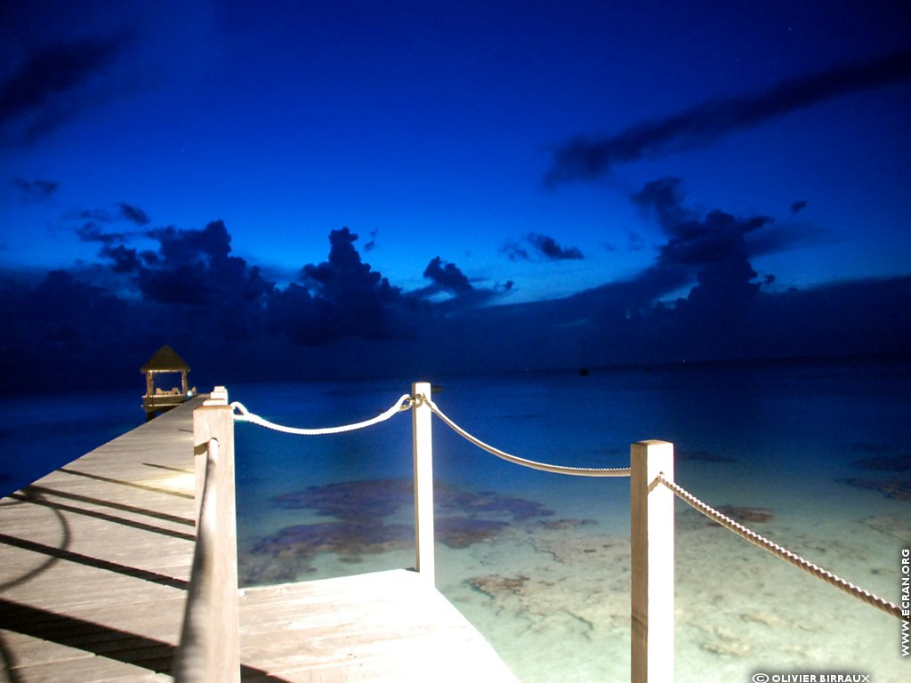 fonds d cran Atoll Fakarava - Archipel Tuamotu Polynesie Francaise - de Olivier Birraux