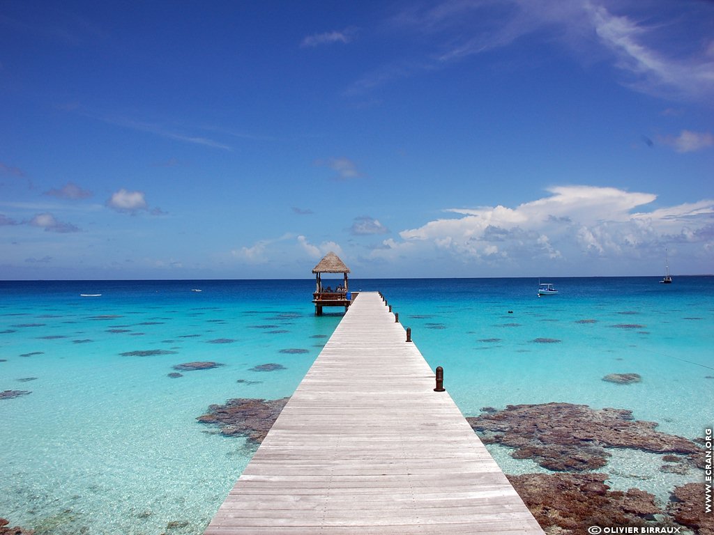 fonds d cran Atoll Fakarava - Archipel Tuamotu Polynesie Francaise - de Olivier Birraux