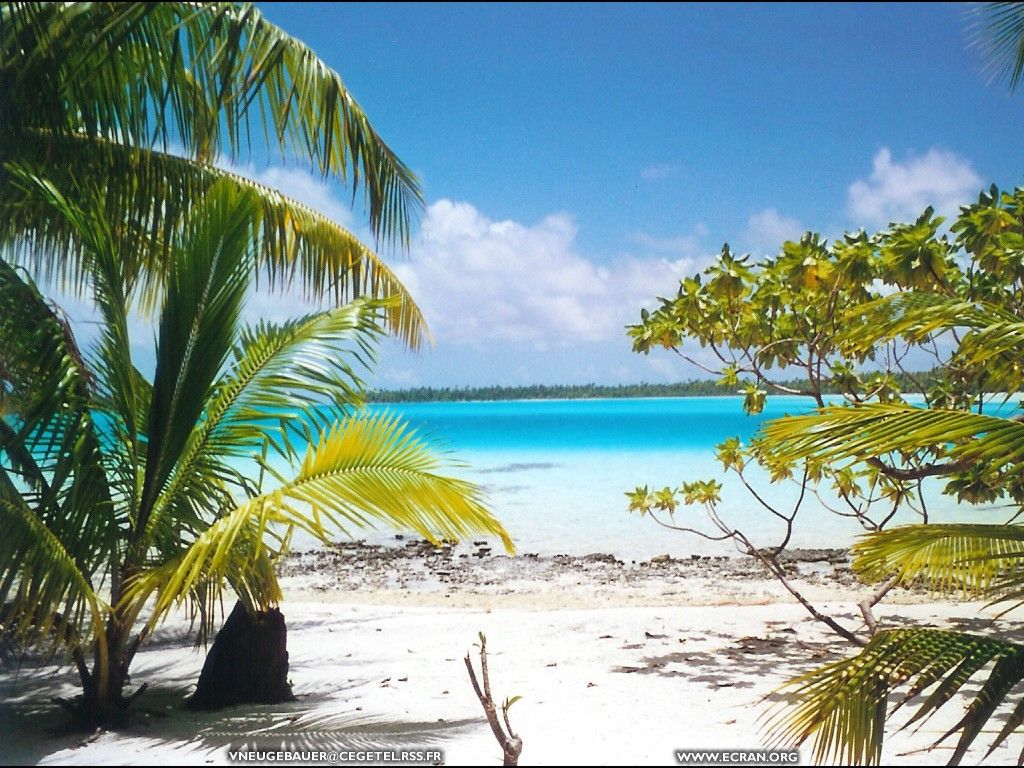 fonds d cran polynesie-francaise-archipel-tuamotu-atoll-rangiroa - de Valerie Neugebauer
