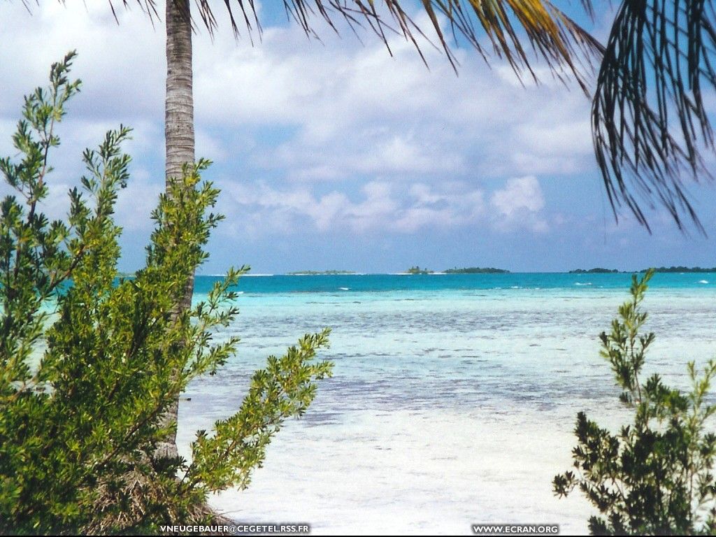 fonds d cran polynesie-francaise-archipel-tuamotu-atoll-rangiroa - de Valerie Neugebauer