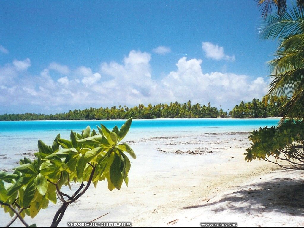 fonds d cran polynesie-francaise-archipel-tuamotu-atoll-rangiroa - de Valerie Neugebauer