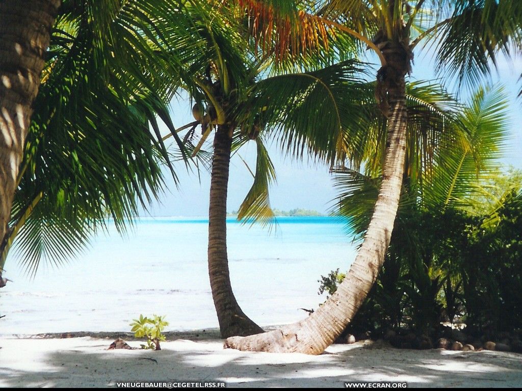 fonds d cran polynesie-francaise-archipel-tuamotu-atoll-rangiroa - de Valerie Neugebauer