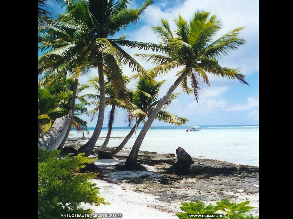 fonds d cran polynesie-francaise-archipel-tuamotu-atoll-rangiroa - de Valerie Neugebauer