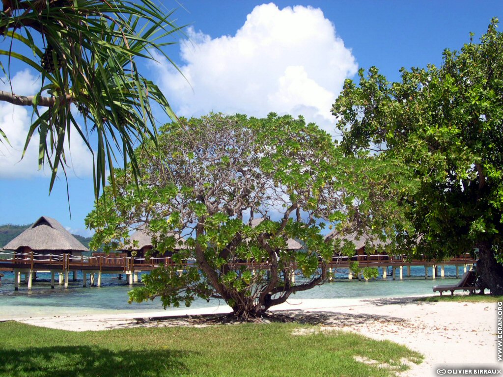 fonds d cran Polynesie Francaise Bora Bora Mai Te Pora Teavanui - de Olivier Birraux