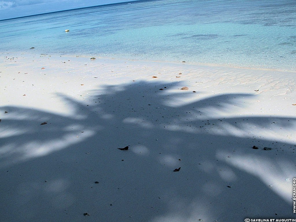 fonds d cran Futuna Polynsie Franaise - de Augustin et Savelina