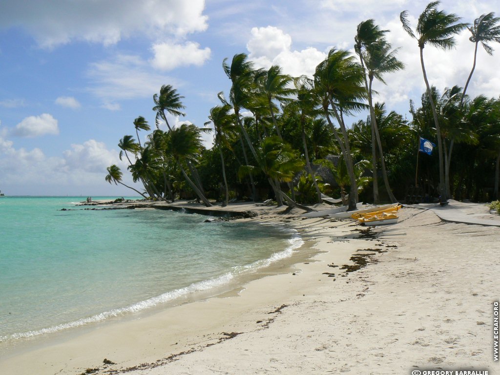 fonds d cran Bora Bora Polynsie Franaise - de Grgory Barrallie