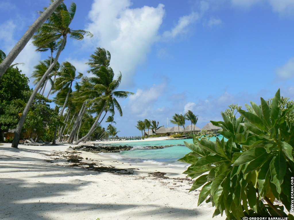 fonds d cran Bora Bora Polynsie Franaise - de Grgory Barrallie
