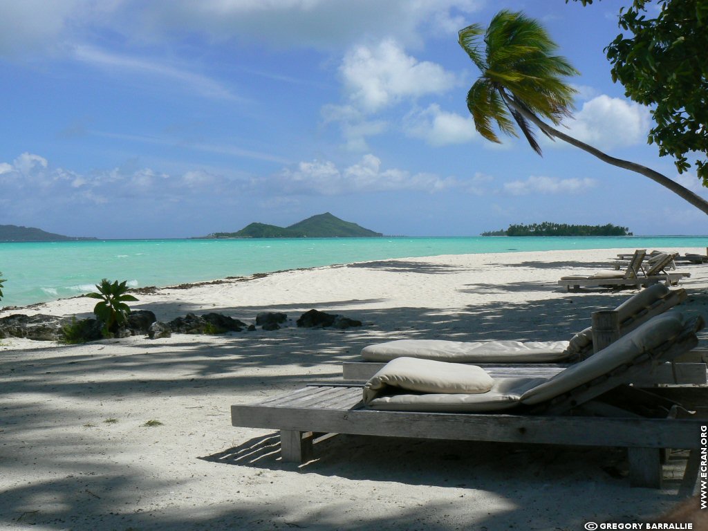 fonds d cran Bora Bora Polynsie Franaise - de Grgory Barrallie