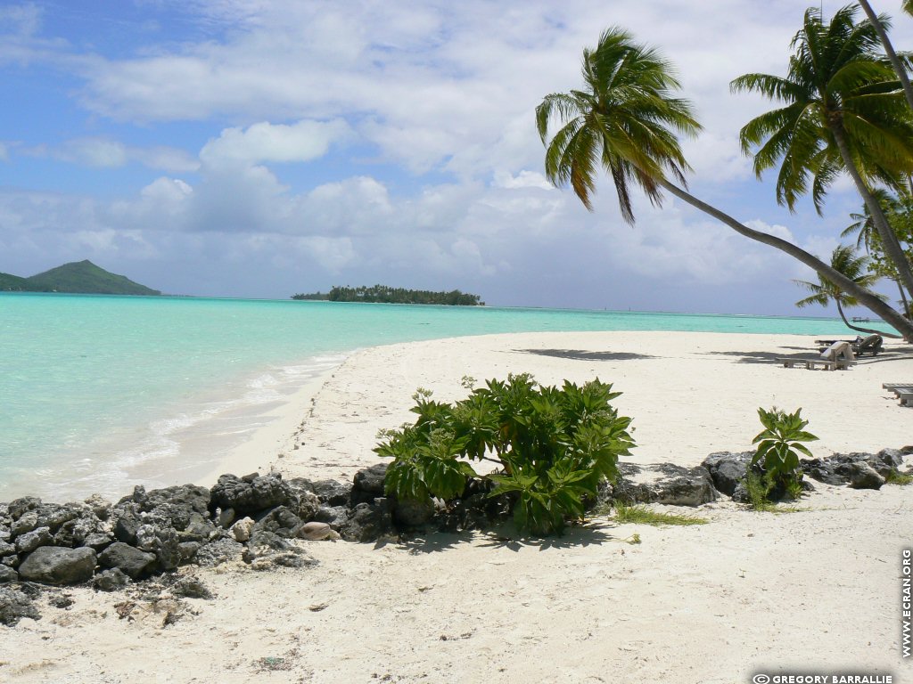 fonds d cran Bora Bora Polynsie Franaise - de Grgory Barrallie