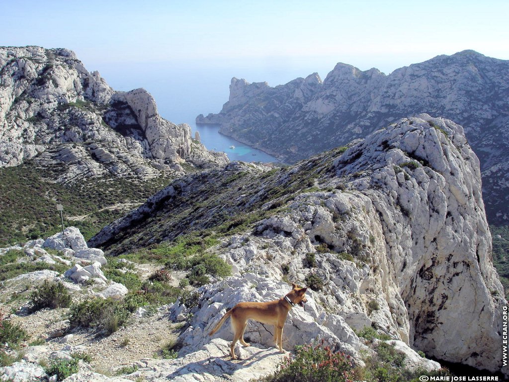 fonds d cran Provence Bouches du Rhone Marseille Calanques marseillaises - de Marie-Jos Lasserre