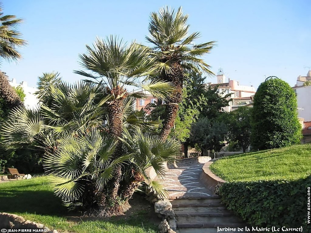 fonds d cran Cote d azur Alpes-Maritimes Le Cannet - de Jean-Pierre Marro